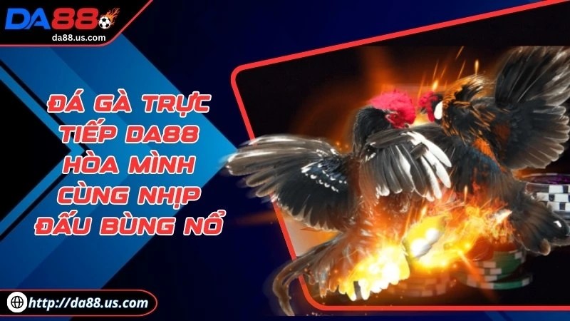 Đá Gà Trực Tiếp Da88 Hòa Mình Cùng Nhịp Đấu Bùng Nổ